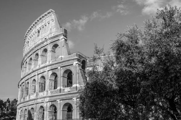 Dettaglio della parete del Colosseo in una luminosa giornata estiva soleggiata a Roma — Foto Stock