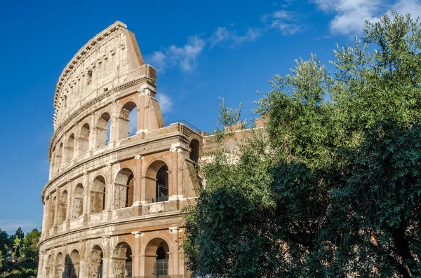 Dettaglio della parete del Colosseo in una luminosa giornata estiva soleggiata a Roma — Foto Stock