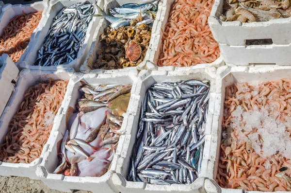 El mercado de pescado del puerto de Fiumicino donde los pescadores venden pescado recién capturado, pulpo, camarones, malyusks, ostras —  Fotos de Stock