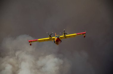 Roma, İtalya - Temmuz 2017: İtfaiyeci uçak gökten su Ostia, İtalya tiren Denizi'nde toplama bir yangın söndürmek