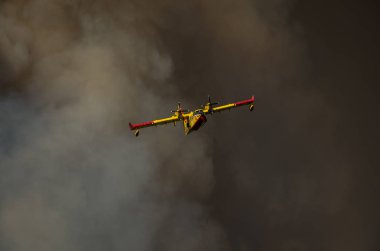 Roma, İtalya - Temmuz 2017:Firefighting uçak acil bir durumda, bir doğal afet sırasında bir yangın söndürmek ve bir felaket Ostia ortadan kaldırmak tiren Denizi'nde su toplar