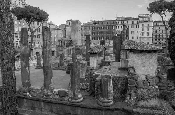 ROMA, ITALIA - JULIO 2017: Antiguas ruinas en la Plaza Torre Argentina, lugar de la muerte del emperador Julio César en Roma, Italia — Foto de Stock