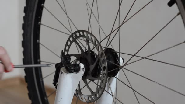 Setting Repairing Bicycle Master Workshop — Stock Video