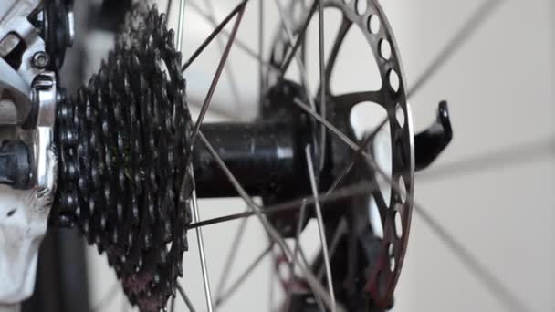 Installazione Riparazione Maestro Bicicletta Officina — Video Stock