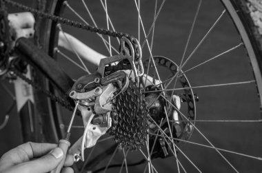 Kurma ve bir bisiklet master atölyede onarımı