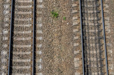 Raylar ve tren istasyonunda uyuyanlar