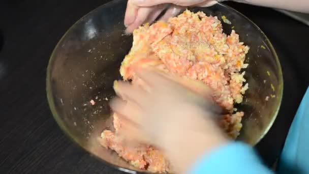 Matlagning Blandar Malet Kött Med Ris — Stockvideo