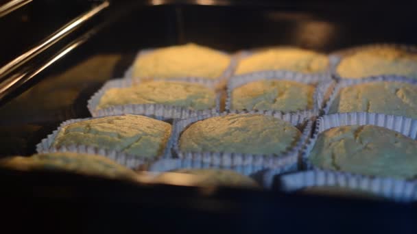 烤箱里的蛋糕是用纸烤箱烘烤的 — 图库视频影像