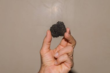 İnsan eli mantarlı siyah mantarlar.