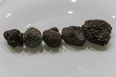 Tabakta çiğ siyah trüf.