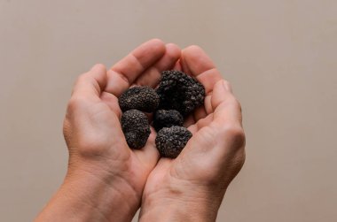 İnsan eli mantarlı siyah mantarlar.