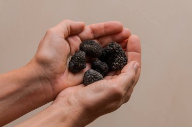 İnsan eli mantarlı siyah mantarlar.