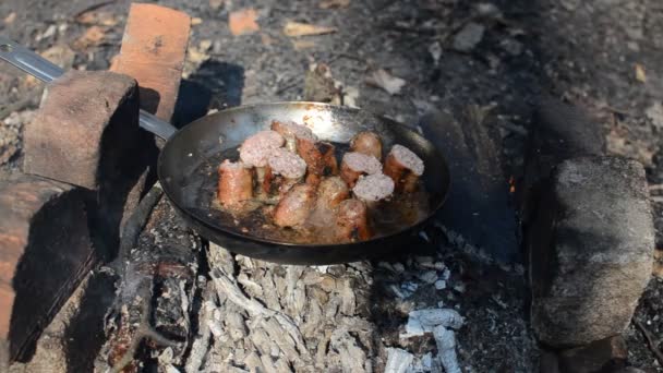 在野餐时 烤香肠放在锅里 在森林的篝火上煎 — 图库视频影像