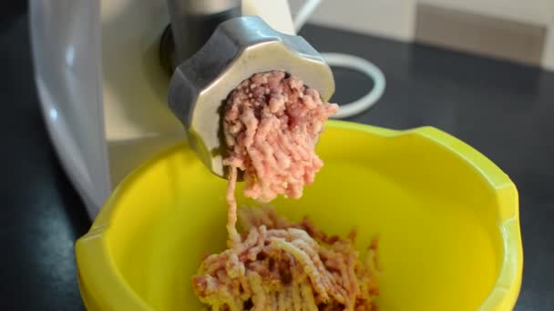 Meat Minced Electric Meat Grinder — Stock Video