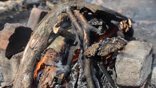 Płonie Drewno Opałowe Pikniku — Wideo stockowe