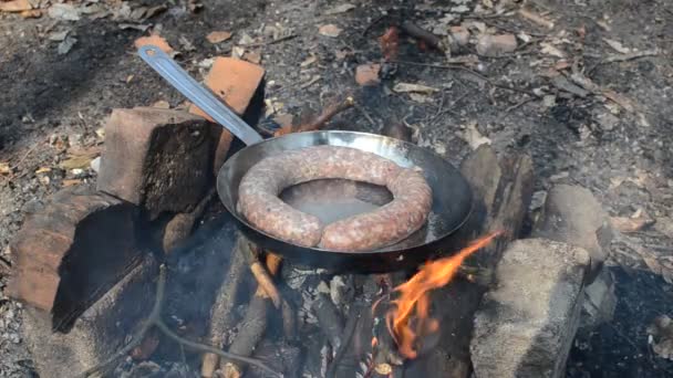 Grilled Sausages Fried Pan Fire Forest Picnic — Stock Video