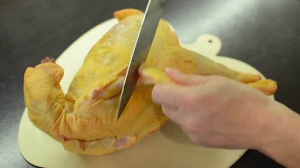 Σεφ Κόβει Ωμό Κοτόπουλο Μαχαίρι — Αρχείο Βίντεο