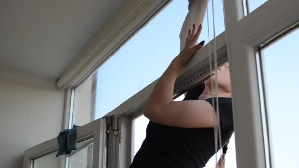 Junge Frau Wäscht Fenster Mit Lappen — Stockvideo