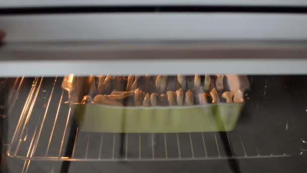 厨师把生鱼片 柠檬和蛋黄酱放入电炉 — 图库视频影像
