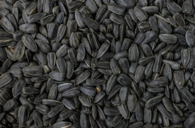 Bir tabakta siyah ayçiçeği çekirdeği