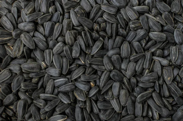 Bir tabakta siyah ayçiçeği çekirdeği