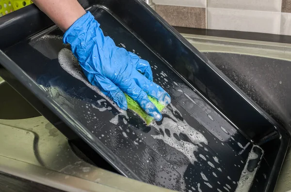 Housekeeper Washes Baking Dish Dishwashing Liquid — Stock Photo, Image