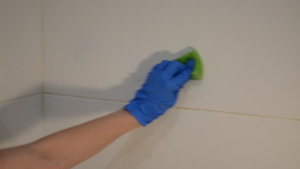 Governanta Limpa Banheiro Com Produtos Químicos Domésticos — Vídeo de Stock