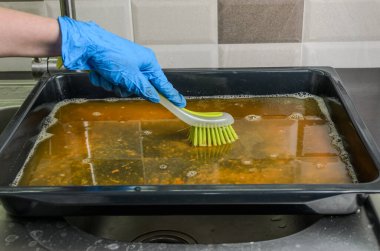 Hizmetçi bulaşık deterjanıyla yemek tabağını yıkıyor.