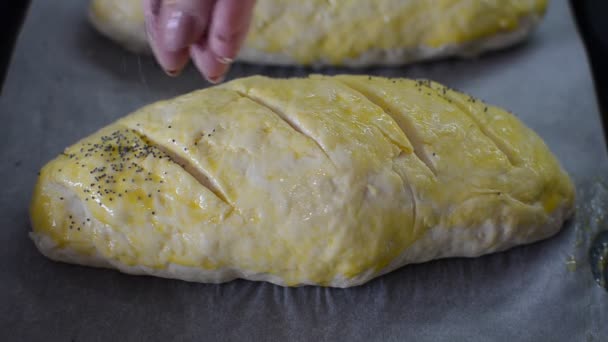 Szef Kuchni Posypuje Niegotowane Ciasto Makiem Podczas Przygotowywania Chleba — Wideo stockowe