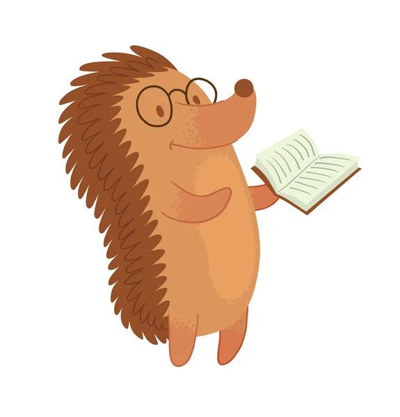 Aranyos barna sün egy könyvet — Stock Vector