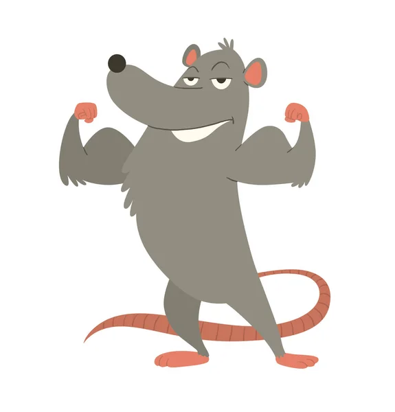Vicces erős szürke patkány mutatja a bicepsz — Stock Vector