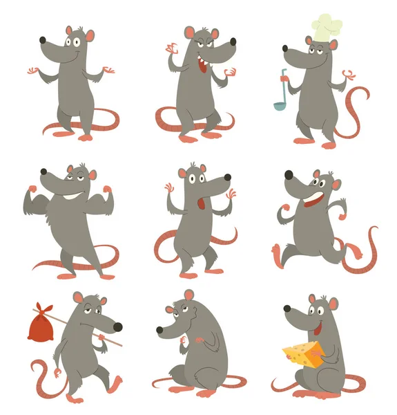 Conjunto de ratas grises divertidas — Vector de stock