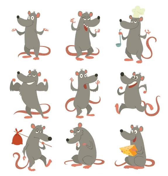 Set van grappige grijze ratten — Stockvector