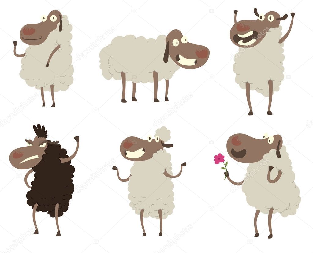 Set of funny white and black sheeps