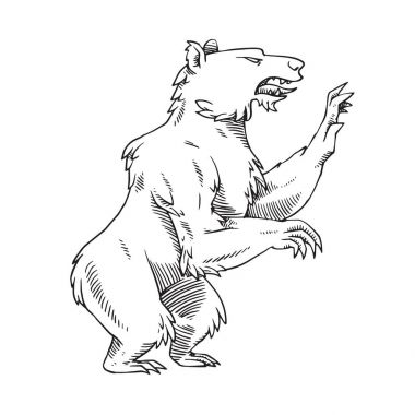 Hanedan ayı sağa, tek renkli stil dön