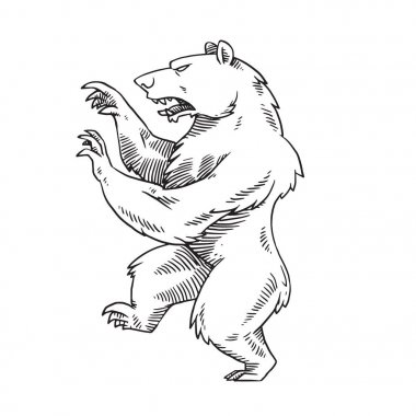 Hanedan ayı sol, tek renkli stil açmak