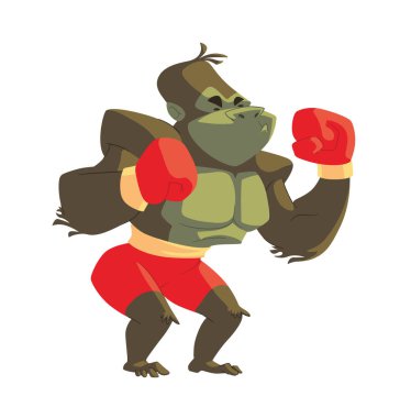 Spor Salonu, hayvanlarda goril