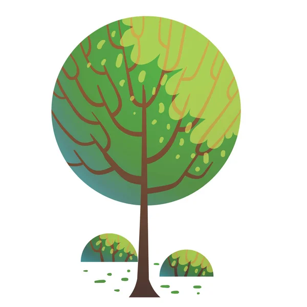 丸い緑の木 — ストックベクタ