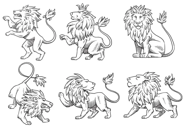 Набор геральдических львов, монохромный стиль — стоковый вектор