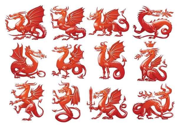 Ensemble de douze dragons héraldiques, image couleur — Image vectorielle