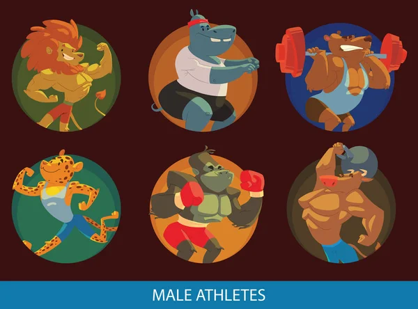 Yuvarlak kare, komik erkek hayvanlar spor salonunda kümesi — Stok Vektör