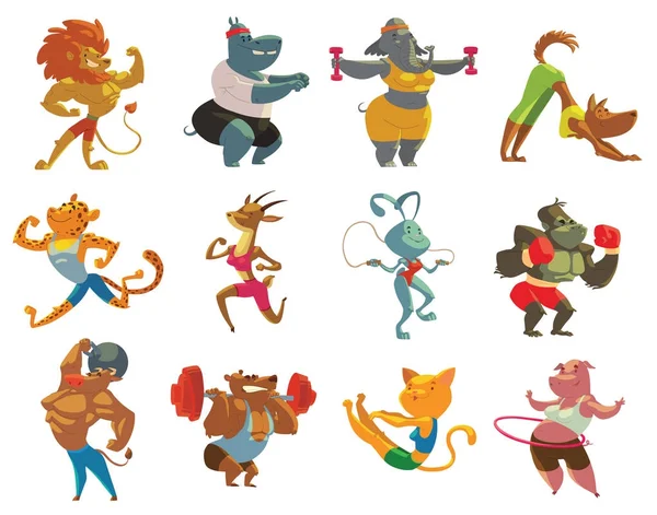 Spor salonunda on iki komik hayvanlar kümesi