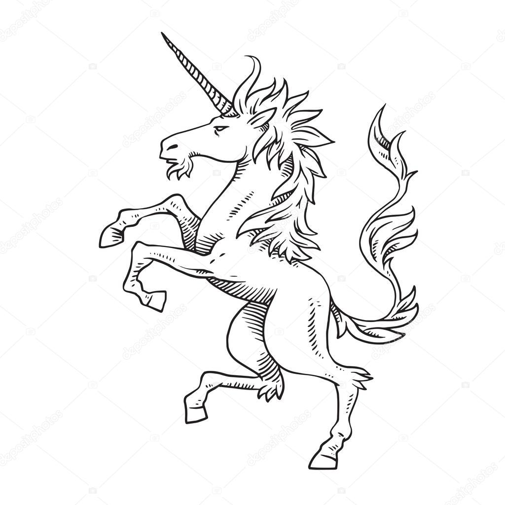 Vector image of heraldic unicorn standing on his hind hooves and turn left on a white background. Coat of arms, heraldry, emblem, symbol. Made in monochrome style. Vector illustration.