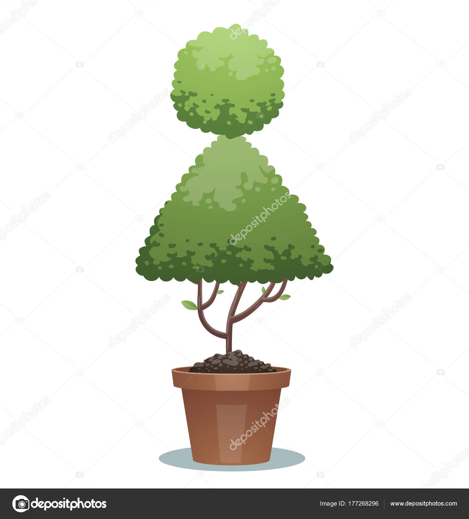 Green bonsai tree, female toilet sign — Stock Vector © tannilion ... Green bonsai tree, female toilet sign — Stock Vector © tannilion ...