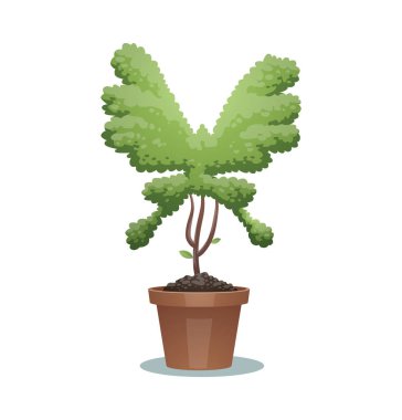 Yeşil bonsai ağacı, kelebek