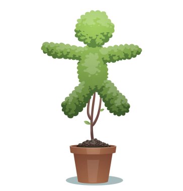 Yeşil bonsai ağacı, küçük çocuk 