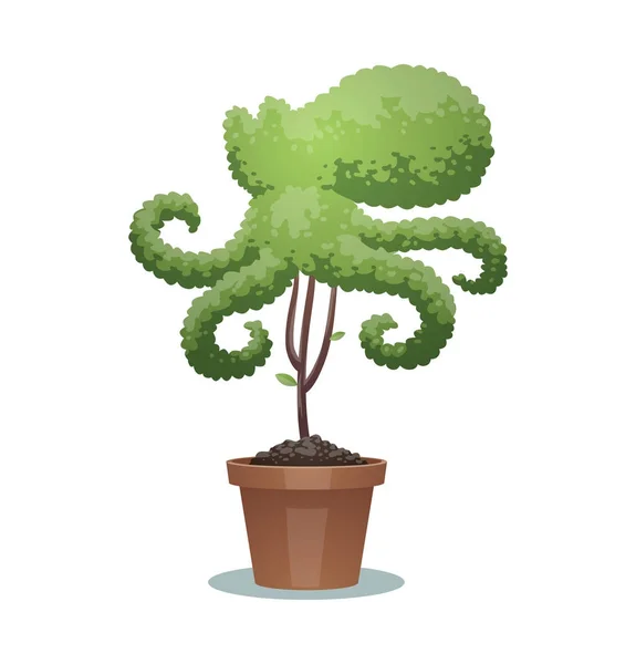 Зеленое дерево бонсай, осьминог — стоковый вектор