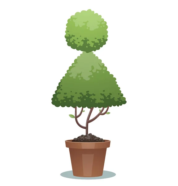 Árbol bonsái verde, letrero de baño femenino — Vector de stock
