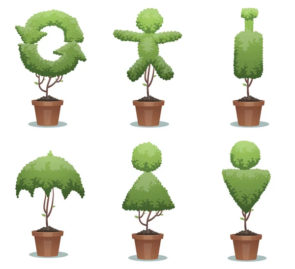 Altı yeşil bonsai ağaçlar, işaretler kümesini — Stok Vektör