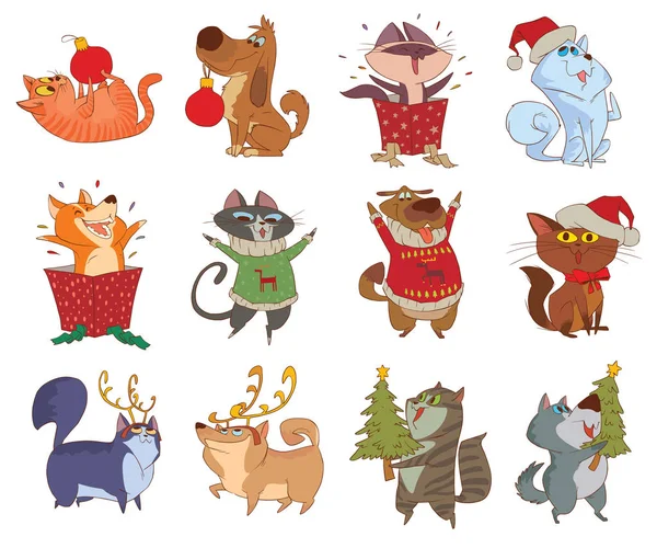 On iki sevimli Noel kediler ve köpekler